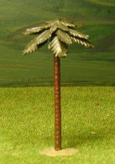 PALM1 Palm Tree