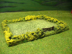 FLD2 Single Green Field with Hedge and Gate