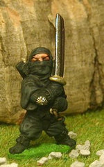 Q25 Ninja: with raised Sword