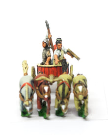 SMP25 Hittites & Neo Hittites