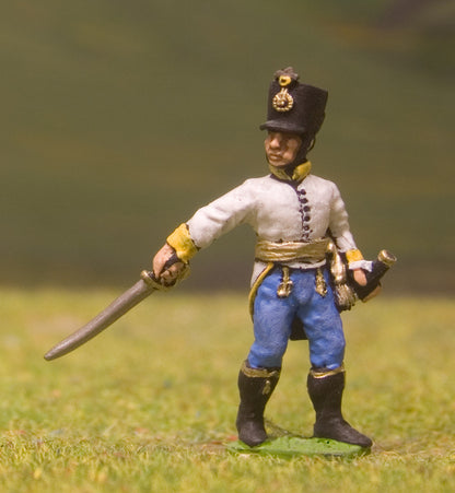 AHN2 Austrian-Hungarian 1804-12: Line Infantry: Officer