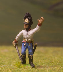 AHN6 Austrian-Hungarian 1804-12: Grenadier: Officer