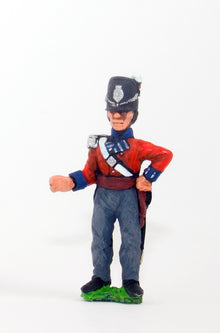 BN107 Infantry 1813-15: Standard Bearer