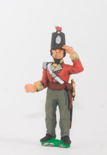 BN6 Line Infantry: Standard Bearer