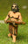 BS8 Sumerian: Javelinman
