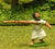 BS11 Sumerian: Martu javelinman