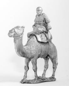 CO15 Hadendoa: Camel Rider