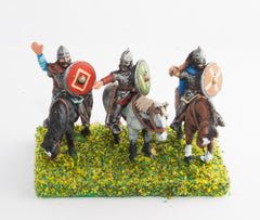 DGS2 Dark Age: Heavy Cavalry ibn mail with assorted weapons & round shield
