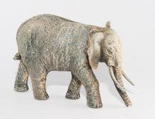 E3 Elephants: African Elephant