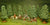 TR8 Fir Tree (Large)