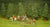 TR8 Fir Tree (Large)