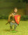 F16 Early Medieval: Spearman In Gambason & Helmet with Shield, advancing, assorted heads