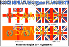 Flag 256 Napoleonic: English Foot Regiments # 2
