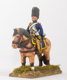 FN115 Mounted Guard Grenadier: Trooper