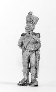 FN166 Standard Bearer, stationary
