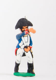 FN28 Line Infantry 1804-12: Standard bearer in Chapeau advancing