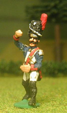 FN5 Imperial Guard 1804-12: Standard Bearer, advancing
