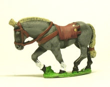 H53 Horses: Achaemenid Persian