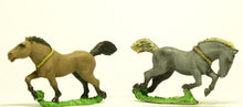 H57 Horses: Numidian Horse (head variants)