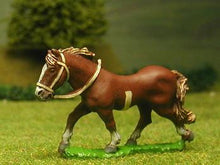H6 Horses: Unarmoured: Medium, walking
