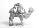 XEQ6 Pack camels